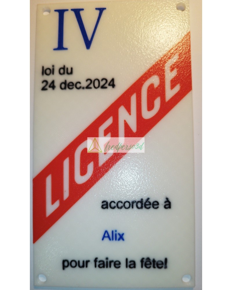 plaque de licence 4 personnaliser